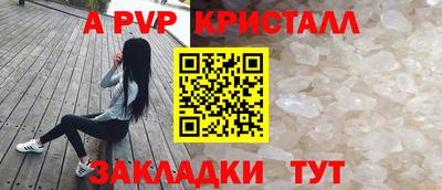 прущие грибы Донской
