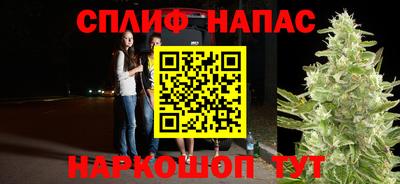 прущие грибы Донской