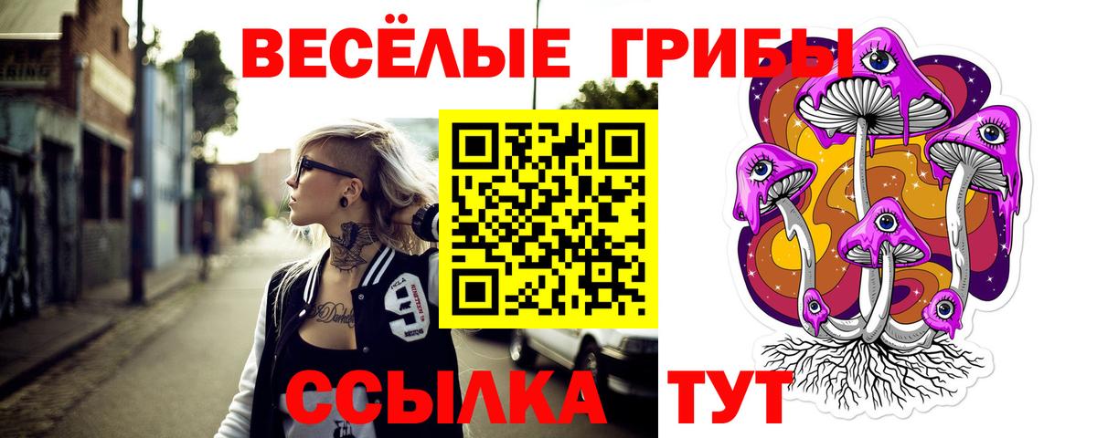 Псилоцибиновые грибы мицелий Михайловск