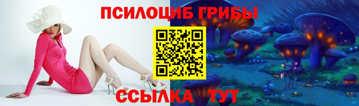 Михайловск  Галлюциногенные грибы GOLDEN TEACHER  Вход с VPN  Галлюциногенные грибы GOLDEN TEACHER 